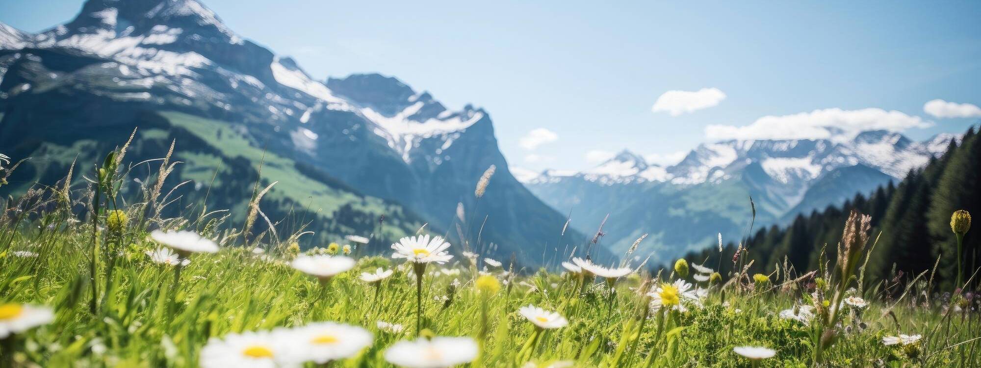 Sommerurlaub - Region Pitztal