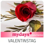 Geschenk zum Valentinstag