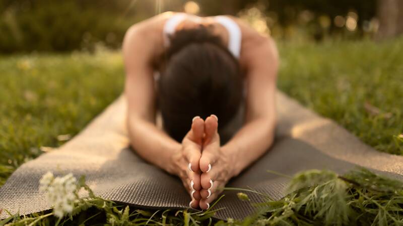 Yoga Meditation Retreat